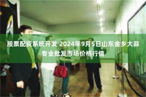 股票配资系统开发 2024年9月5日山东金乡大蒜专业批发市场价格行情